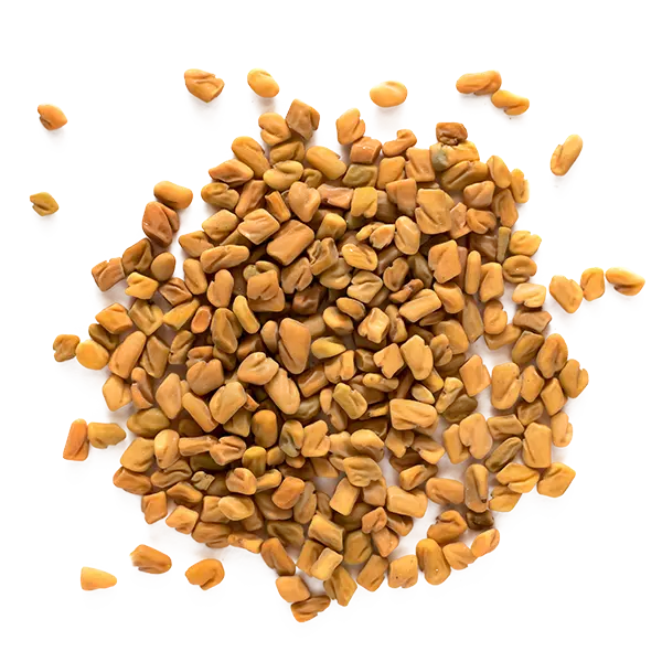 Fenugreek