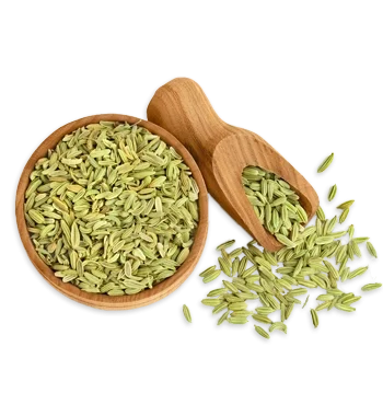 Fennel Saunf