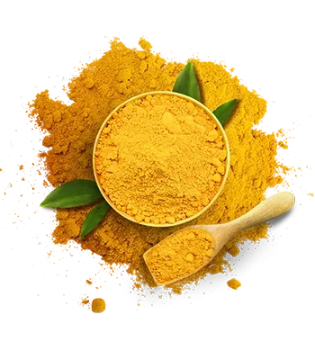 Haldi Powder