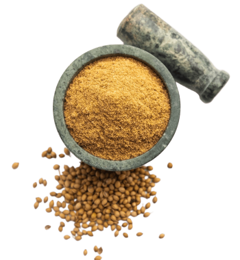 indian-spice-heap-coriander-powder-dhaniya-powder-chinese-parsley-dried-seeds-selective-focus